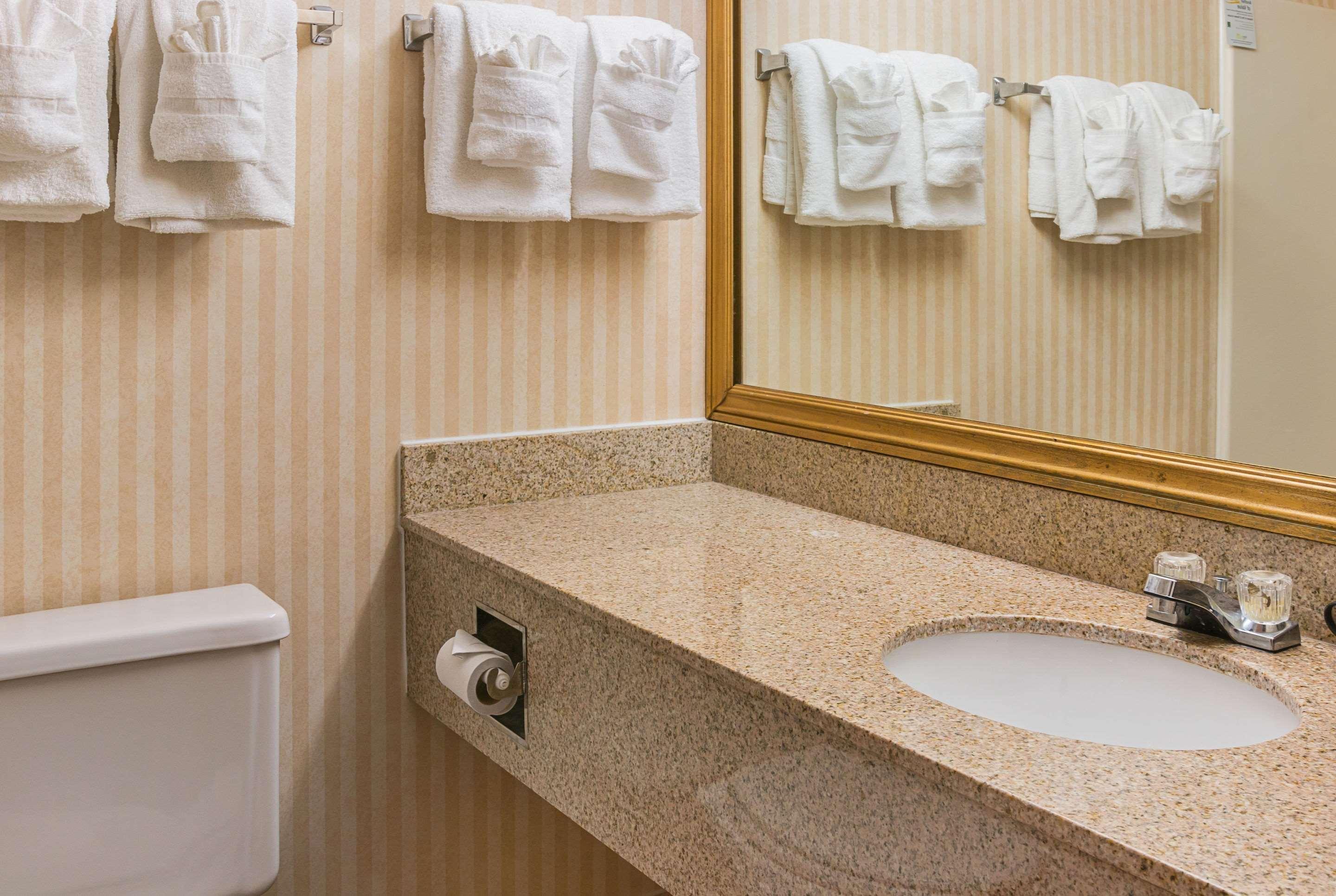 Quality Inn & Suites Detroit Metro Airport Romulus Bagian luar foto